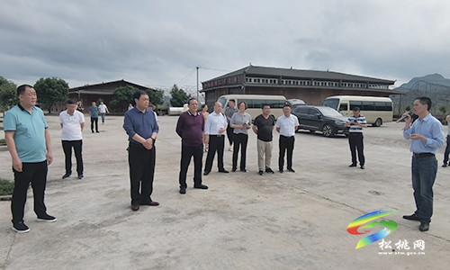 ​唐永明率隊到孟溪鎮(zhèn)調(diào)研農(nóng)業(yè)產(chǎn)業(yè)發(fā)展情況