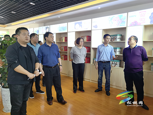 ​唐永明率隊到孟溪鎮(zhèn)調(diào)研農(nóng)業(yè)產(chǎn)業(yè)發(fā)展情況