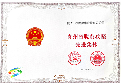 ​松桃德康牧業(yè)：榮獲貴州省脫貧攻堅(jiān)先進(jìn)集體