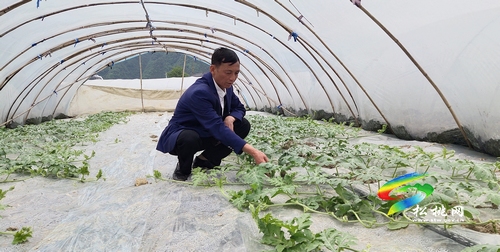 肖朝發(fā)：用10年心血，帶領(lǐng)群眾奔小康