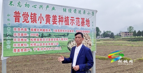 肖朝發(fā)：用10年心血，帶領(lǐng)群眾奔小康