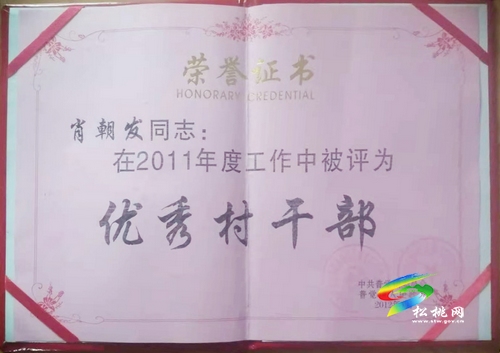 肖朝發(fā)：用10年心血，帶領(lǐng)群眾奔小康