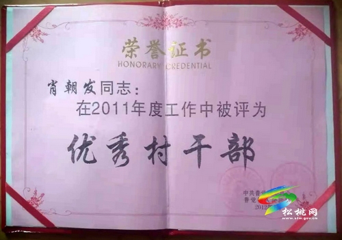 肖朝發(fā)：用10年心血，帶領(lǐng)群眾奔小康