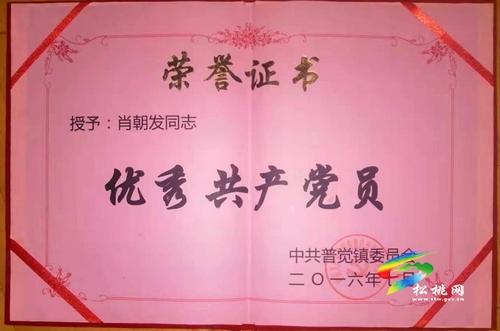 肖朝發(fā)：用10年心血，帶領(lǐng)群眾奔小康