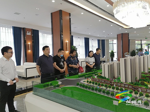 ​市政協(xié)副主席謝衛(wèi)來松開展新型城鎮(zhèn)化專題調(diào)研工作