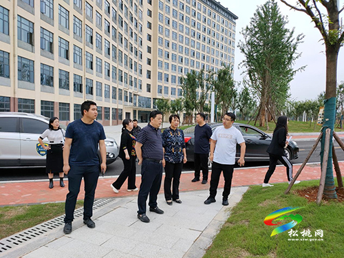 ​市政協(xié)副主席謝衛(wèi)來松開展新型城鎮(zhèn)化專題調(diào)研工作