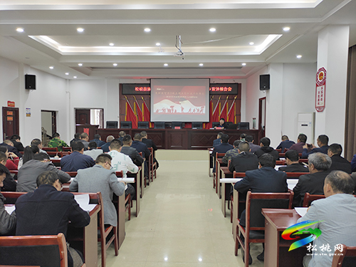 【奮斗百年路 啟航新征程】縣委黨史學(xué)習(xí)教育宣講團(tuán)走進(jìn)長(zhǎng)坪鄉(xiāng)