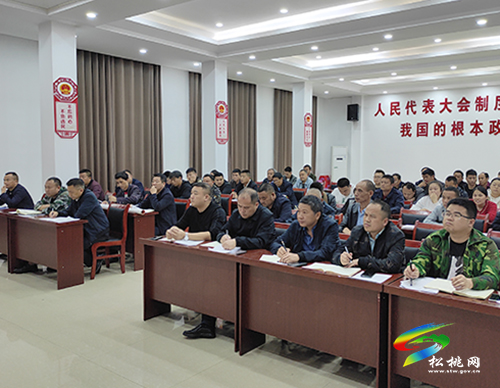【奮斗百年路 啟航新征程】縣委黨史學(xué)習(xí)教育宣講團(tuán)走進(jìn)長(zhǎng)坪鄉(xiāng)