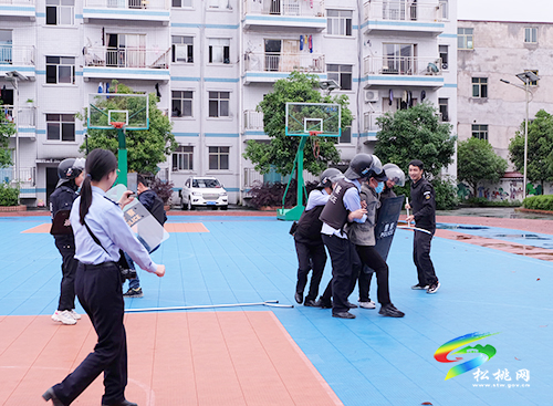 ​大路鎮(zhèn)完小開(kāi)展校園防暴恐演練活動(dòng)