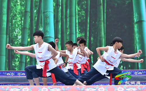 ​中國苗王城：數(shù)萬賓朋相聚，歡慶四月八