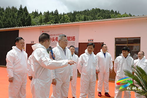 ​副省長(zhǎng)王世杰來(lái)松調(diào)研鞏固拓展脫貧攻堅(jiān)成果同鄉(xiāng)村振興有效銜接工作
