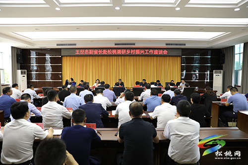 ​副省長(zhǎng)王世杰來(lái)松調(diào)研鞏固拓展脫貧攻堅(jiān)成果同鄉(xiāng)村振興有效銜接工作
