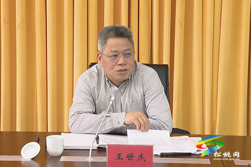 ​副省長(zhǎng)王世杰來(lái)松調(diào)研鞏固拓展脫貧攻堅(jiān)成果同鄉(xiāng)村振興有效銜接工作