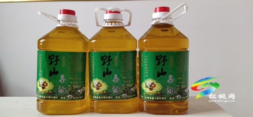 盤(pán)石鎮(zhèn)打造全域旅游示范鄉(xiāng)鎮(zhèn)未來(lái)可期