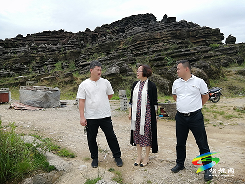 廣東省新會(huì)睦洲商會(huì)到松桃開展調(diào)研