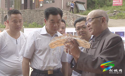 陳代文一行來松桃調(diào)研少數(shù)民族特色村寨保護與發(fā)展情況