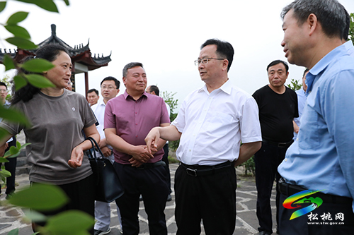 省人大農(nóng)委主任委員楊云一行來(lái)松桃調(diào)研油茶產(chǎn)業(yè)工作