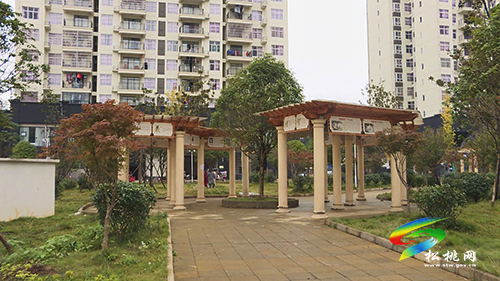 松桃:加強黨支部標準化規(guī)范化建設(shè) 寫好易地搬遷“后半篇文章”