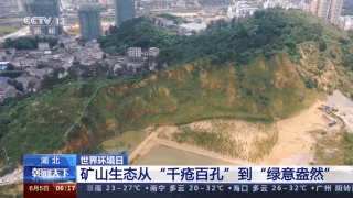 人與自然如何和諧共生？一文帶你了解！