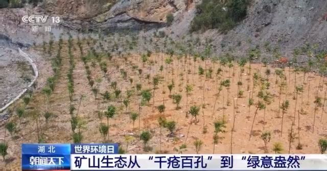 人與自然如何和諧共生？一文帶你了解！