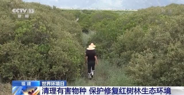 人與自然如何和諧共生？一文帶你了解！