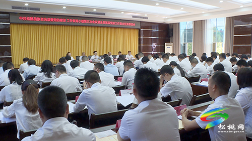松桃縣委黨的建設(shè)工作領(lǐng)導(dǎo)小組2021年度第三次會議暨全縣基層黨建工作重點任務(wù)推進會召開