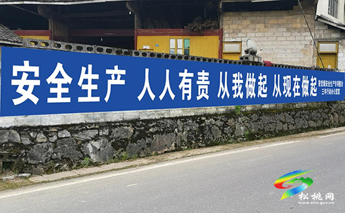 普覺鎮(zhèn)組織多部門聯合開展2021年“安全生產月”暨“安全生產普覺行”安全知識宣傳活動