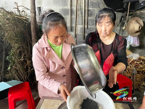 【網(wǎng)絡(luò)中國節(jié)·端午】端午佳節(jié)灰粽飄香