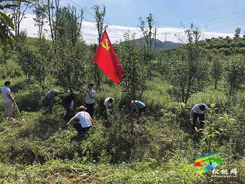 【奮斗百年路　啟航新征程】大坪場(chǎng)鎮(zhèn)：深入開展“我為群眾辦實(shí)事”志愿服務(wù)活動(dòng)