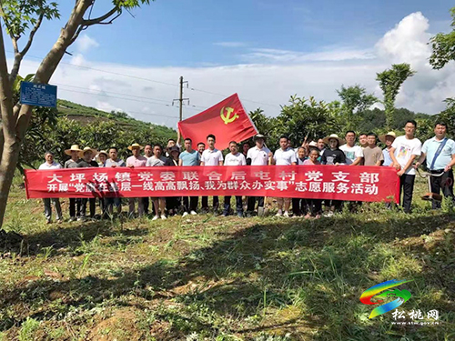 【奮斗百年路　啟航新征程】大坪場(chǎng)鎮(zhèn)：深入開展“我為群眾辦實(shí)事”志愿服務(wù)活動(dòng)