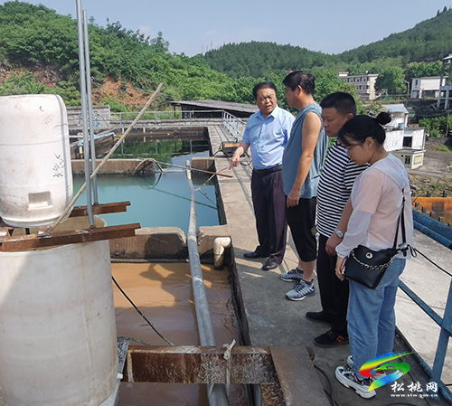 唐永明率隊到太豐錳渣庫調研錳污染治理工作