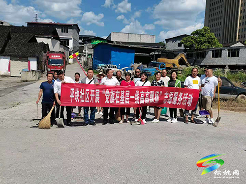 【我為群眾辦實(shí)事】】蓼皋街道開(kāi)展“黨旗在基層一線(xiàn)高高飄揚(yáng)”環(huán)境衛(wèi)生整治志愿服務(wù)活動(dòng)