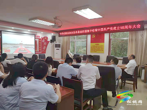 松桃苗族自治縣社會各界收聽收看中國共產(chǎn)黨成立100周年大會