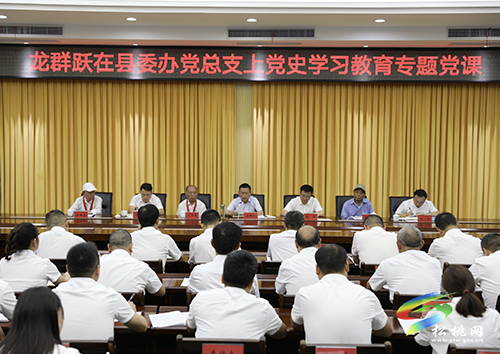 龍群躍在縣委辦黨總支上黨史學(xué)習(xí)教育專(zhuān)題黨課