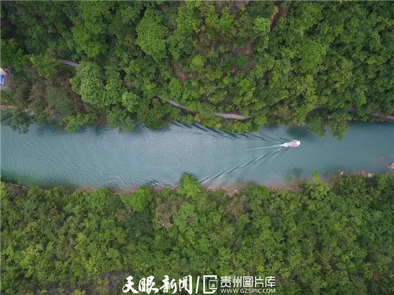《貴州日?qǐng)?bào)》刊登乾興平文章：共同構(gòu)建人與自然生命共同體