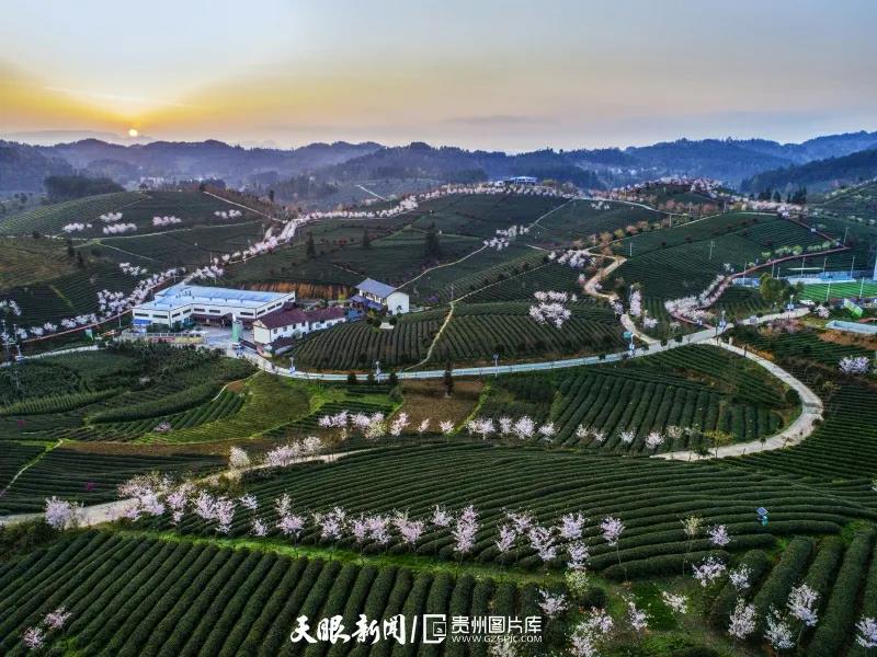 《貴州日?qǐng)?bào)》刊登乾興平文章：共同構(gòu)建人與自然生命共同體