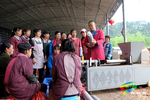 全省優(yōu)秀共產(chǎn)黨員、松桃孟溪鎮(zhèn)香菇種植協(xié)會會長李春學