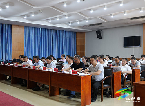 松桃集中收聽收看銅仁市全面推進(jìn)新時代文明實(shí)踐中心建設(shè)工作電視電話會議