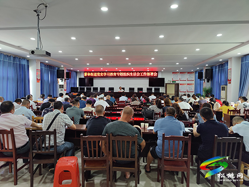 ​【奮斗百年路　啟航新征程】​蓼皋街道召開黨史學(xué)習(xí)教育專題組織生活會(huì)工作部署會(huì)