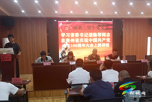 盤信鎮(zhèn)第二完小支部開展“學(xué)習(xí)講話精神、堅守初心使命”主題黨日活動