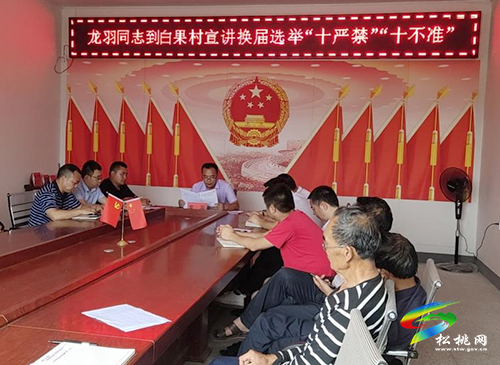 長興堡鎮(zhèn)白果村“一個(gè)堅(jiān)持、六個(gè)到位”做好村級換屆工作