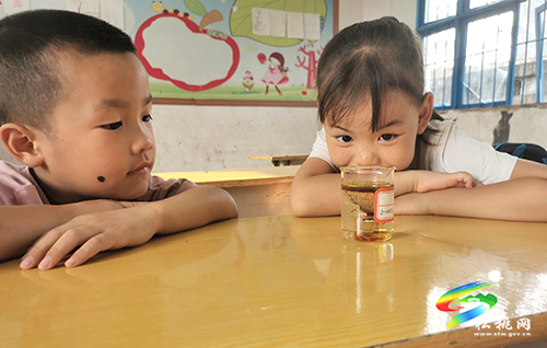 松桃：大學(xué)生參與支教實(shí)踐，助力鄉(xiāng)村振興