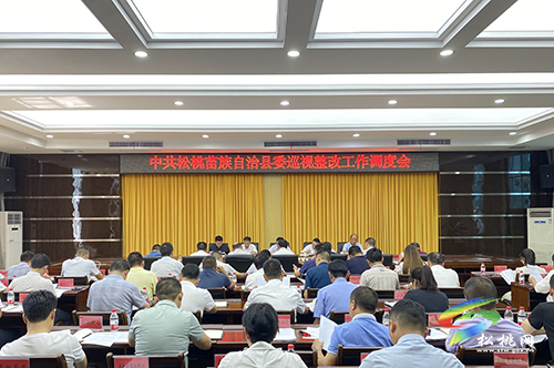 中共松桃苗族自治縣委巡視整改工作調(diào)度會(huì)召開