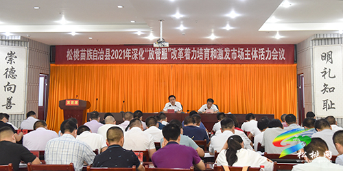 松桃召開深化“放管服”改革著力培育和激發(fā)市場(chǎng)主體活力會(huì)議