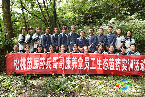 松桃：傳承苗藥文化，推動苗藥發(fā)展