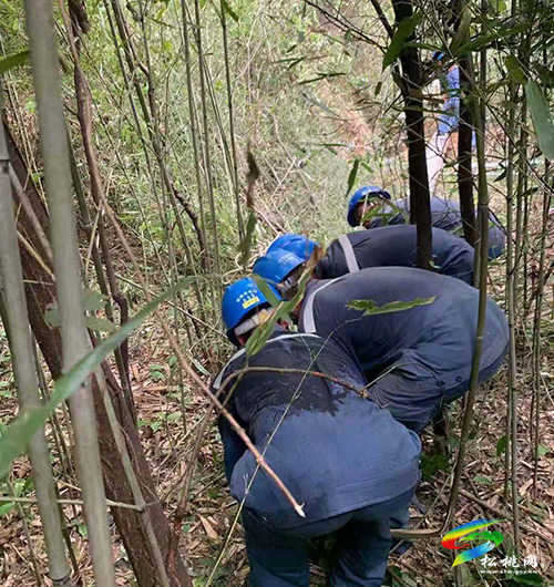 松桃：奔赴在高溫下的電網(wǎng)人