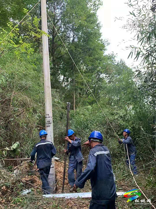 松桃：奔赴在高溫下的電網(wǎng)人