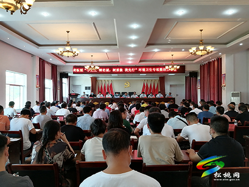【奮斗百年路 啟航新征程】黃板鎮(zhèn)召開“學(xué)黨史鑄忠誠樹形象我先行”環(huán)境衛(wèi)生專項(xiàng)整治行動啟動會