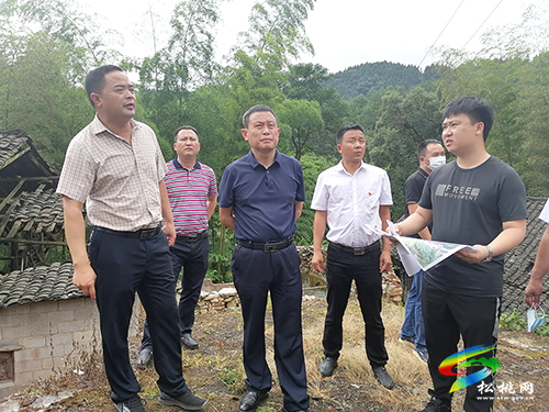 龍群躍到平頭鎮(zhèn)指導土地增減掛鉤高標準農(nóng)田建設等工作