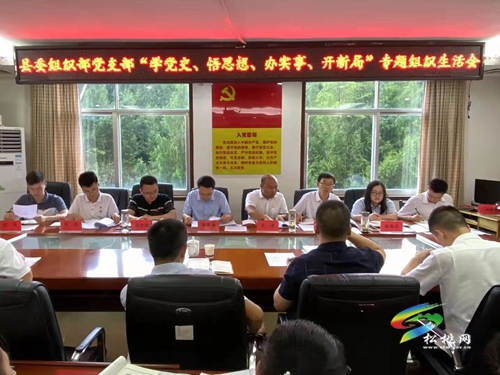 【奮斗百年路 啟航新征程】縣委組織部黨支部召開黨史學(xué)習(xí)教育專題組織生活會